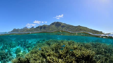 Le lagon enchanté de Moorea thumbnail