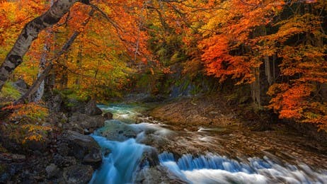 Otoño entrante, lluvias abundantes thumbnail