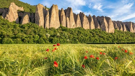 Les Géants de la Haute-Provence thumbnail