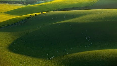 Up on the Downs by Microsoft | Wallpapers | WallpaperHub