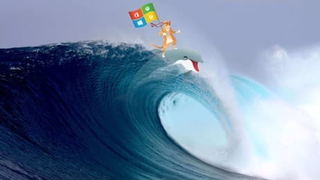 Ninja Cat Surf thumbnail