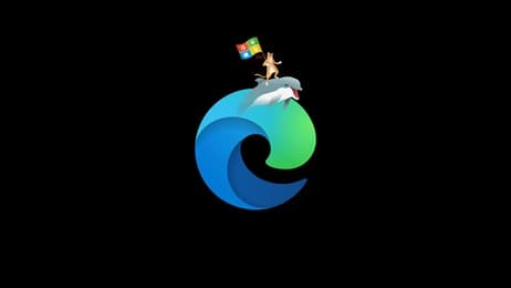 Ninja Cat Surfvariation thumbnail