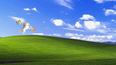 Ninja Cat Unicorn Bliss thumbnail