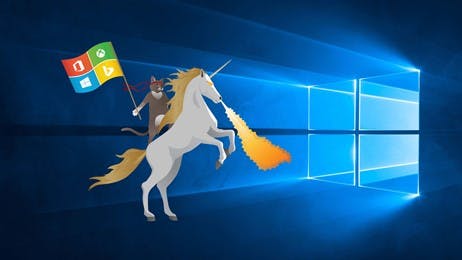 Ninja Cat Unicorn Windows 10 Hero thumbnail