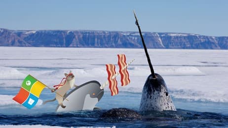 Narwhal thumbnail